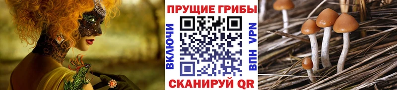 Псилоцибиновые грибы GOLDEN TEACHER  наркота  Ижевск 